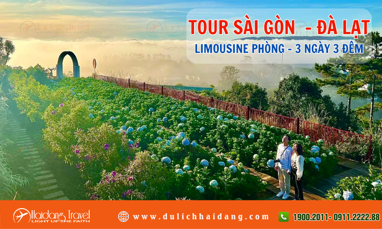 Tour du lịch Sài Gòn Đà Lạt 3 ngày 3 đêm 